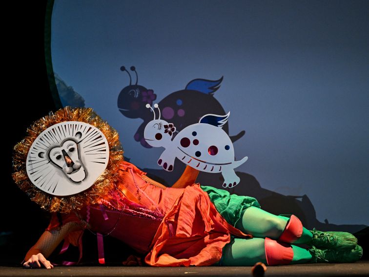 EL CARNAVAL ANIMAL · CÍA, LUZ MICRO Y PUNTO